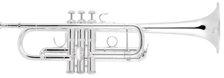 News StradivariusC190 2019